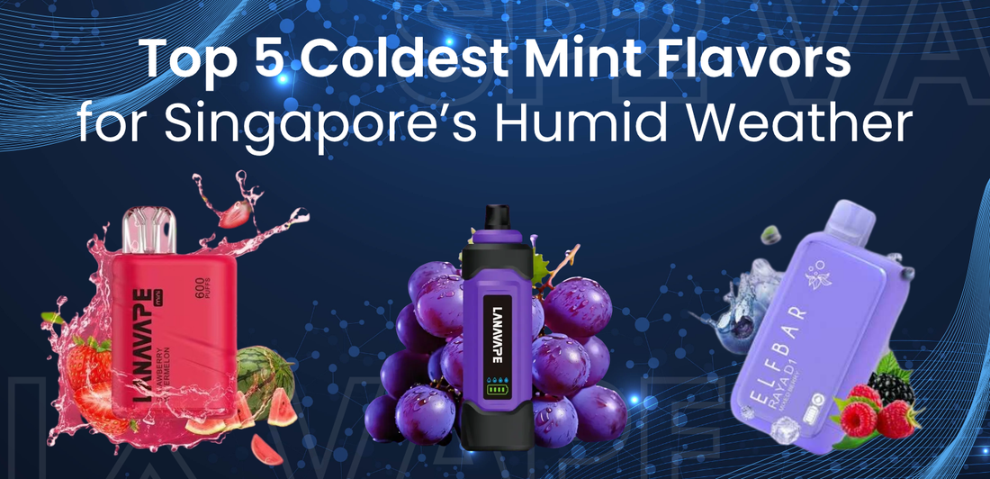 Top 5 Coldest Mint Flavors for Singapore’s Humid Weather | Best Icy Vapes