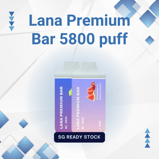 Lana Premium Bar 5800 Puffs Disposable Vape with Type-C Charging and 6ml E-liquid