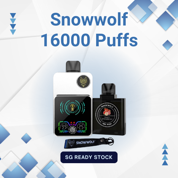 Snowwolf 16000 Puffs disposable vape with Smart HD Screen showing battery level